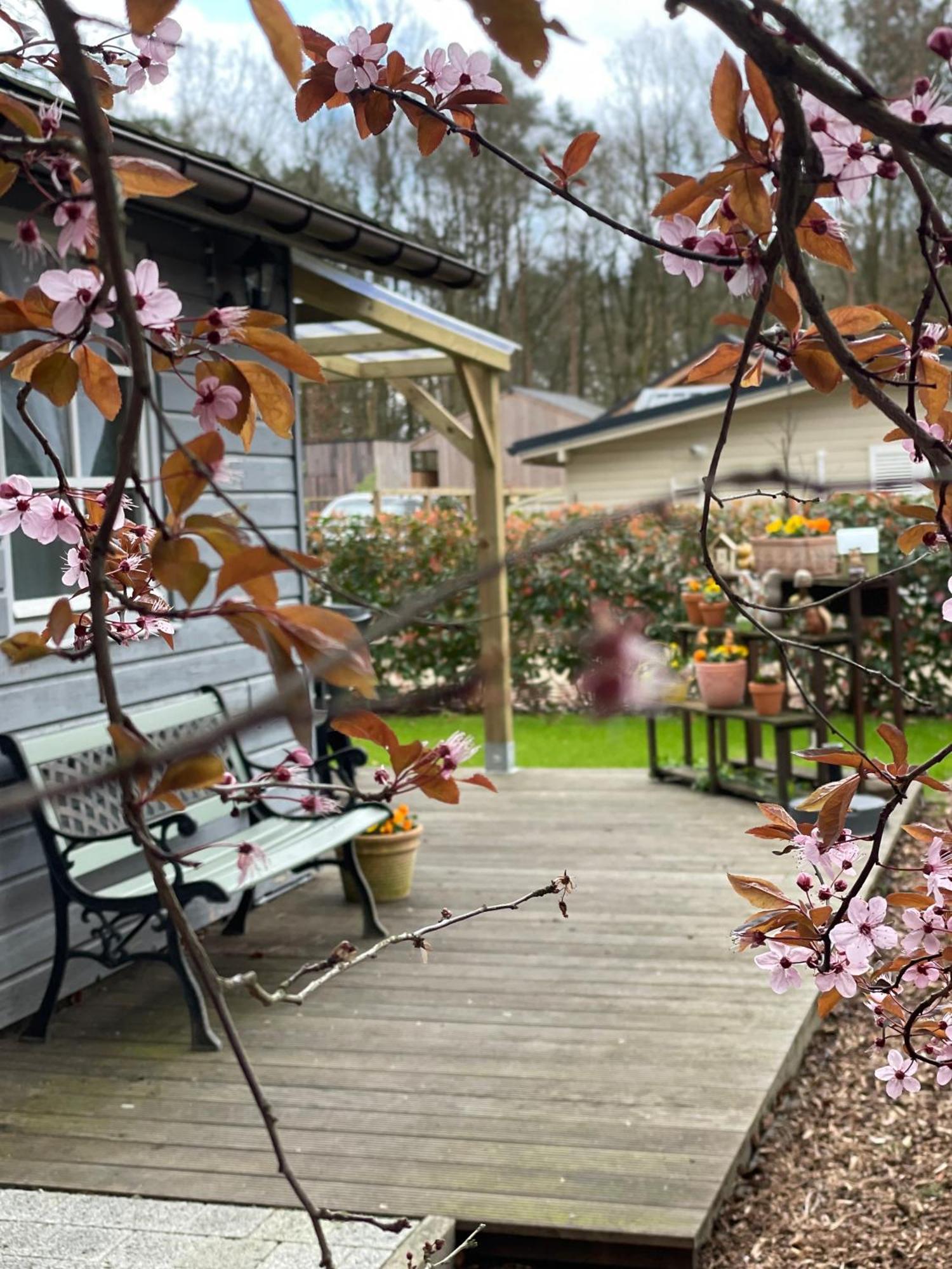Chalet Sint-Hubertus Du Bois Zutendaal Exteriör bild