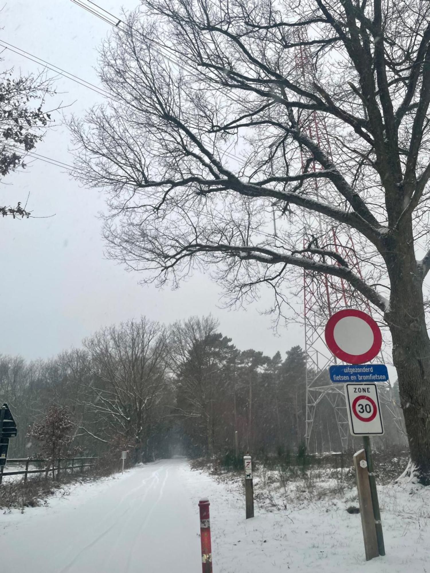 Chalet Sint-Hubertus Du Bois Zutendaal Exteriör bild
