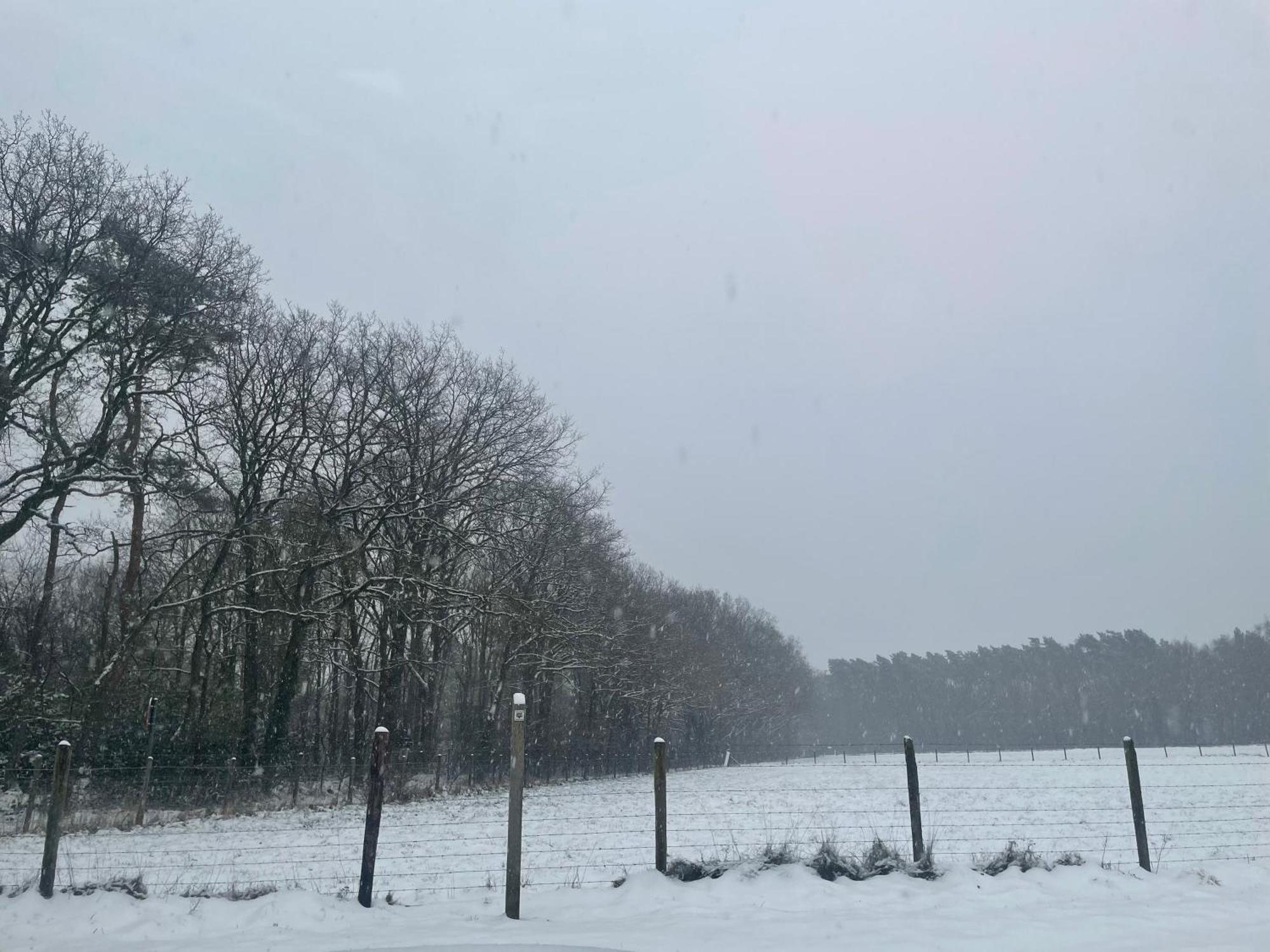 Chalet Sint-Hubertus Du Bois Zutendaal Exteriör bild