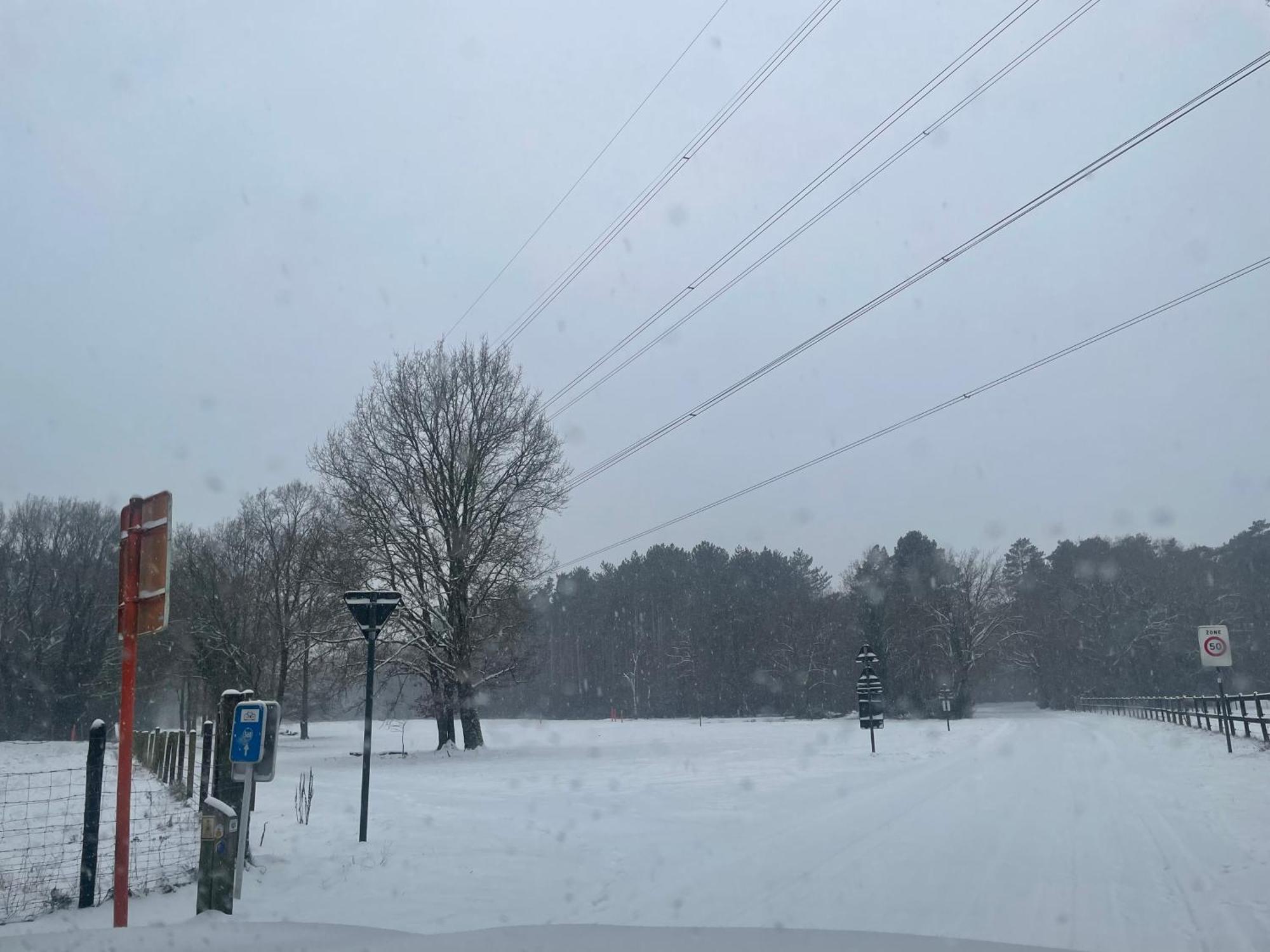 Chalet Sint-Hubertus Du Bois Zutendaal Exteriör bild